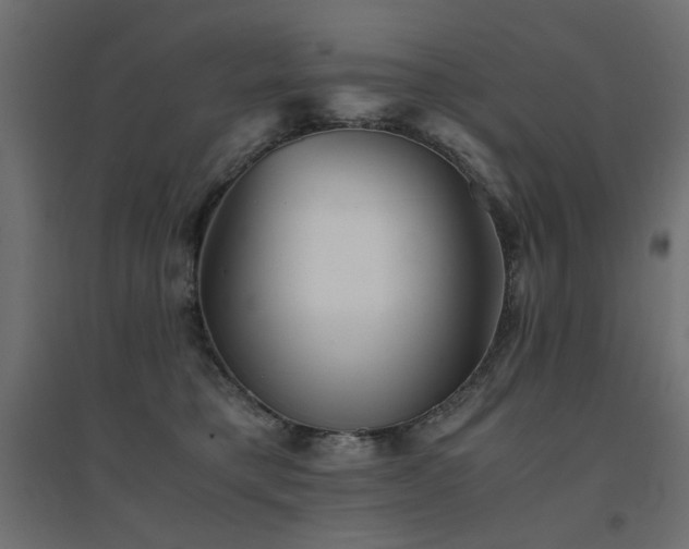 X0000094910421200711291300