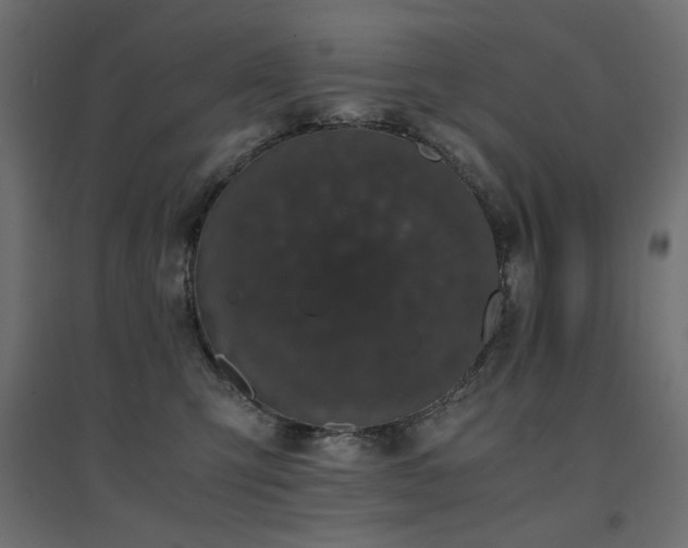 X0000094910423200711291300
