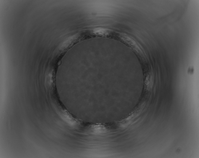 X0000094910424200711291300