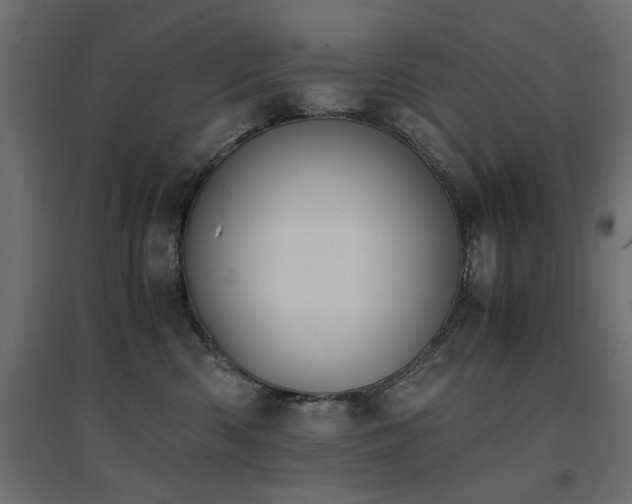 X0000094910426200711291300