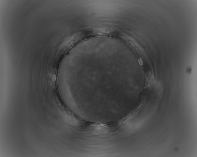 X0000094910427200711291300