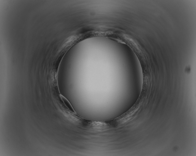 X0000094910429200711291300