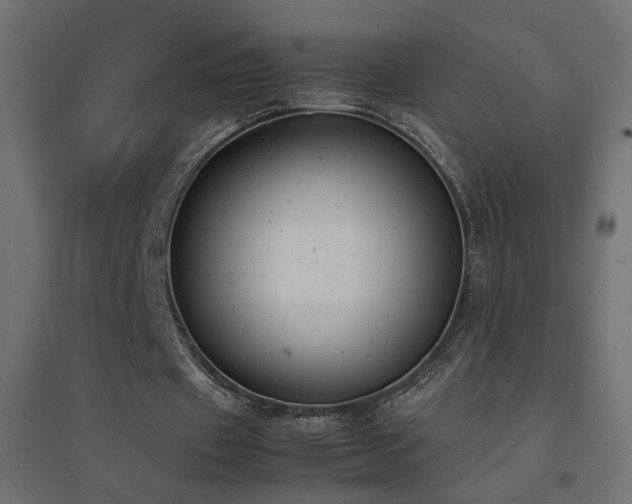 X0000094910433200711291259