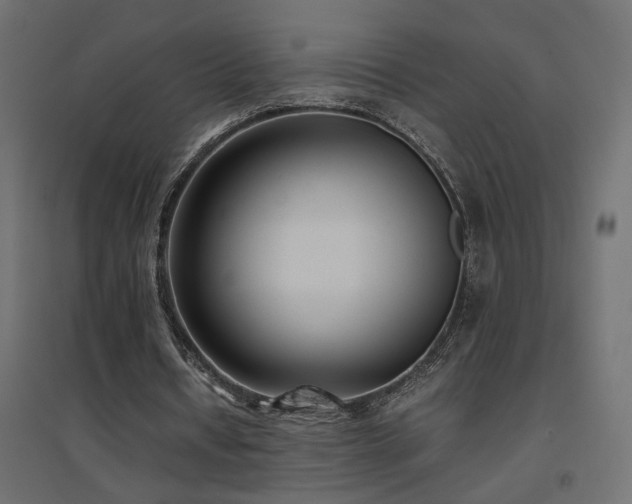X0000094910434200711291259
