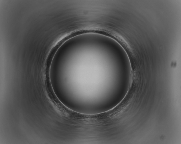 X0000094910436200711291259
