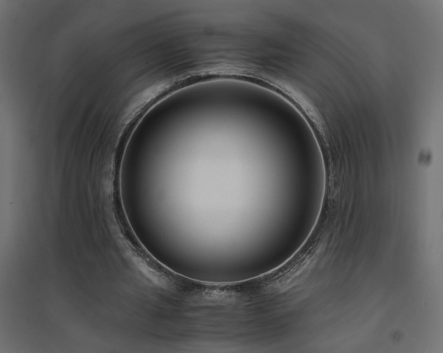 X0000094910437200711291259
