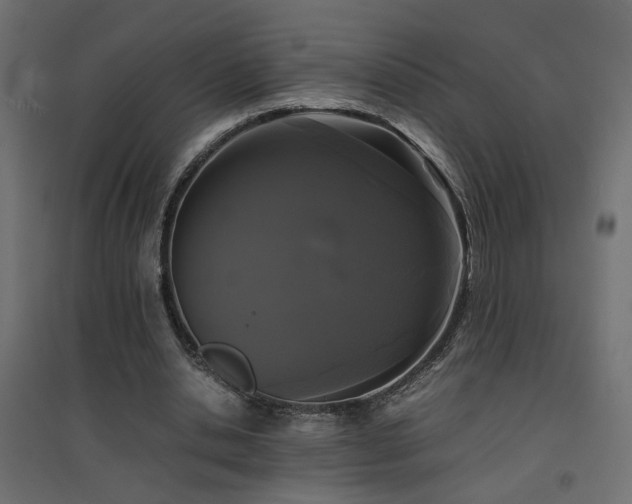 X0000094910438200711291259