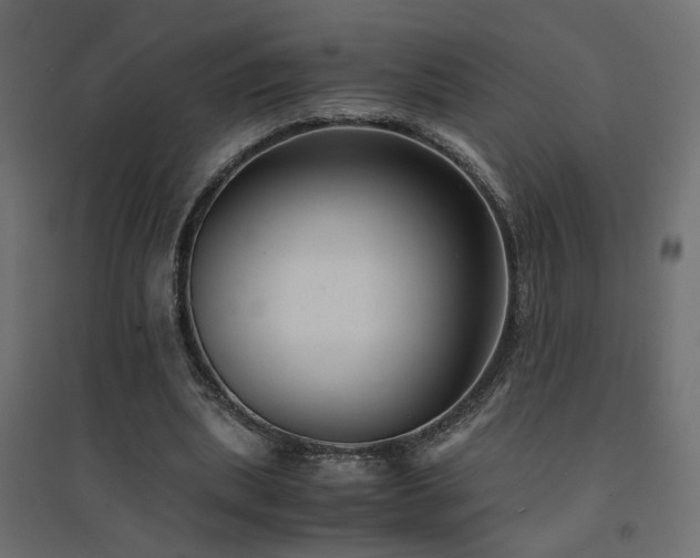 X0000094910439200711291259