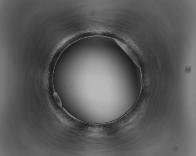 X0000094910440200711291259