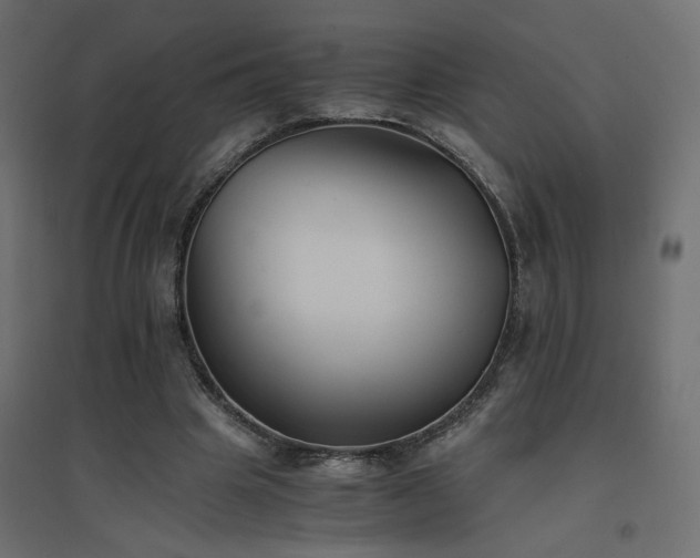 X0000094910441200711291259
