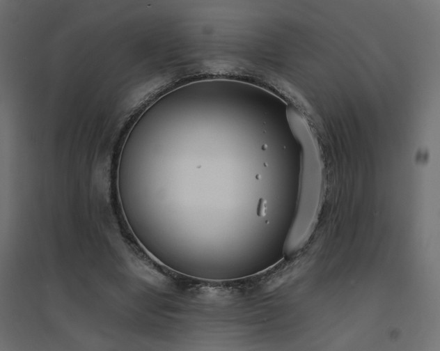 X0000094910442200711291259