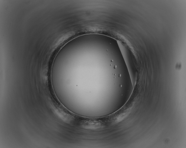 X0000094910443200711291259