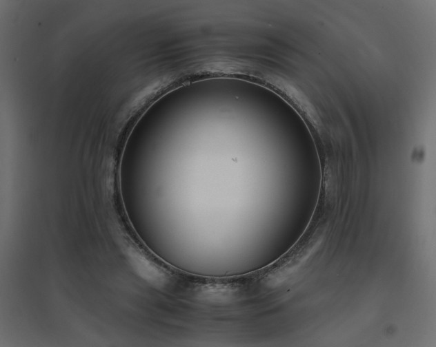 X0000094910445200711291259