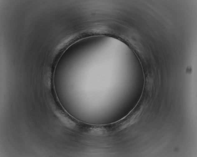 X0000094910446200711291259