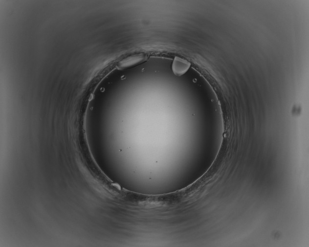 X0000094910448200711291259