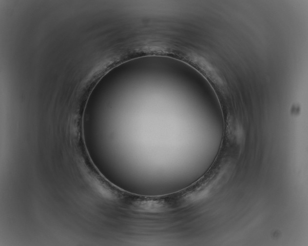 X0000094910449200711291259