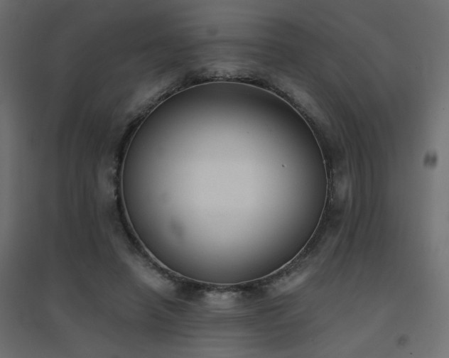 X0000094910450200711291259