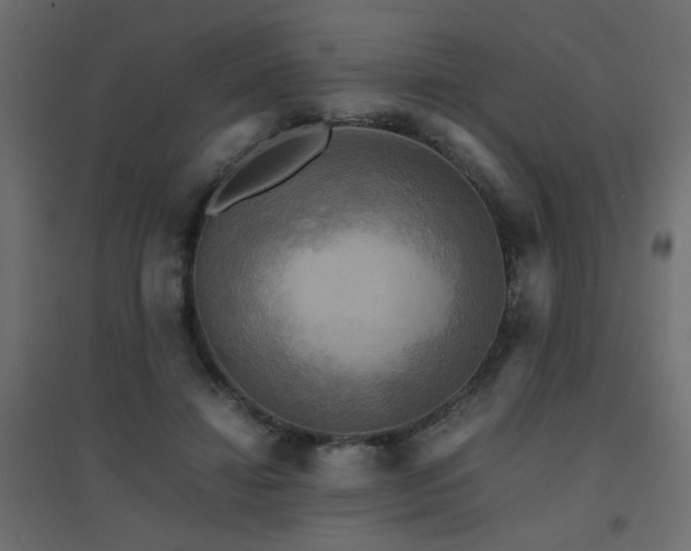 X0000094910452200711291259