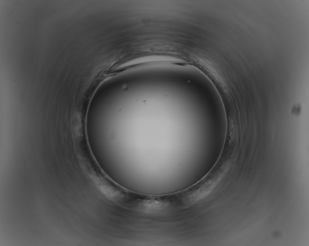 X0000094910453200711291259