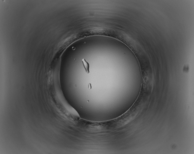 X0000094910454200711291259