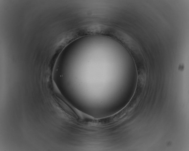X0000094910458200711291259