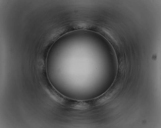 X0000094910459200711291259