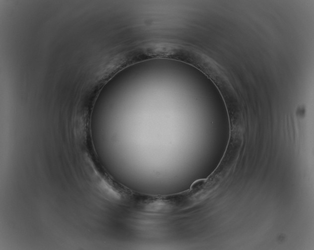 X0000094910460200711291259