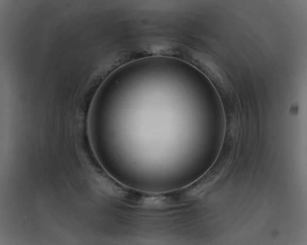 X0000094910461200711291259