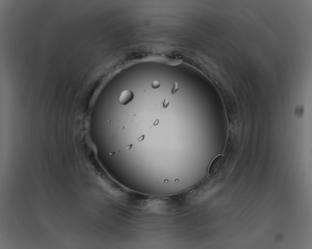 X0000094910462200711291259