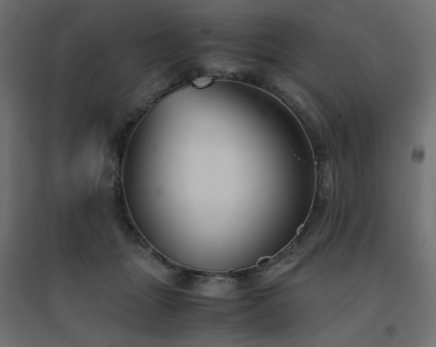 X0000094910463200711291259