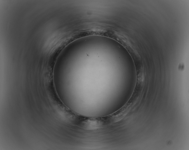 X0000094910464200711291259