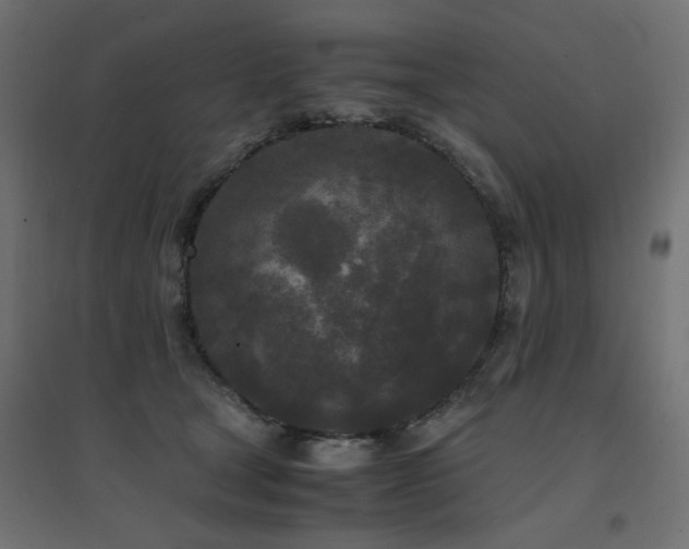 X0000094910465200711291259
