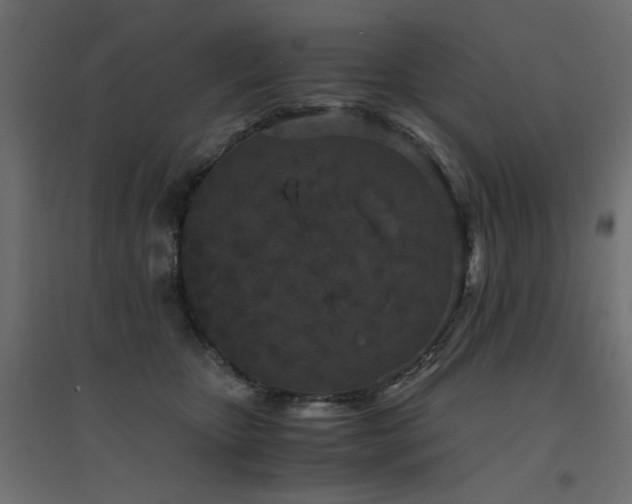 X0000094910467200711291300