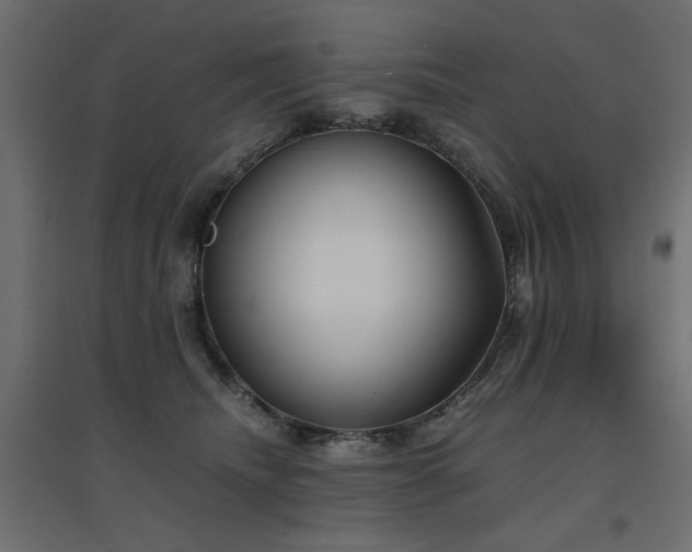 X0000094910468200711291300