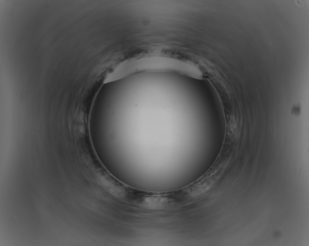 X0000094910470200711291300