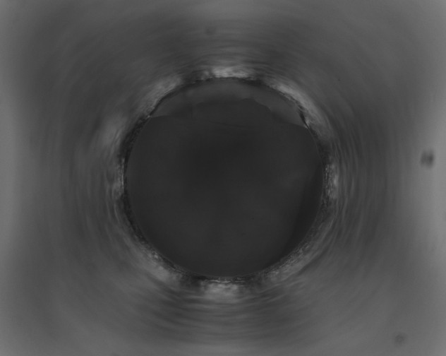 X0000094910471200711291300