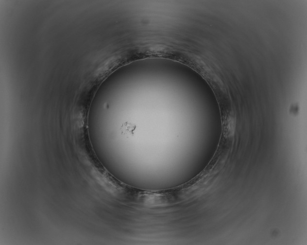 X0000094910472200711291300