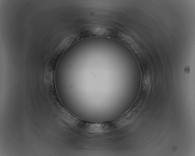 X0000094910473200711291300