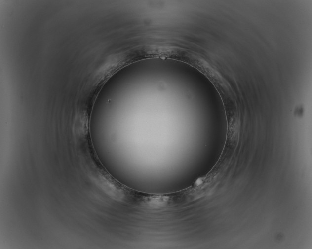 X0000094910474200711291300