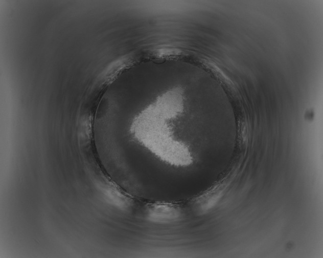X0000094910475200711291300