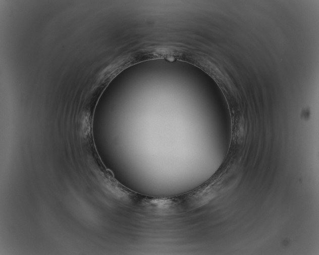 X0000094910478200711291300