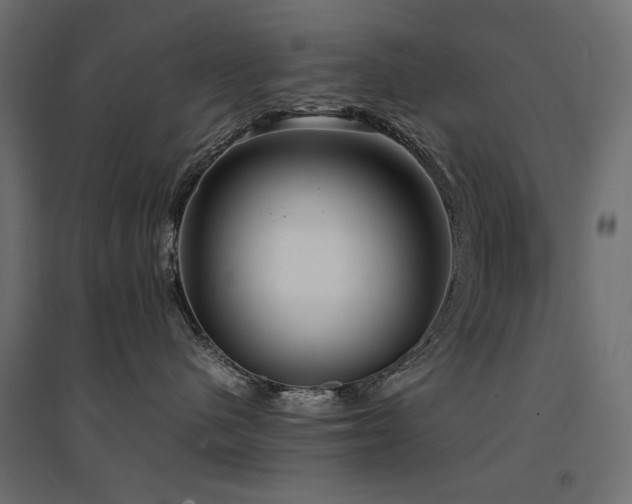 X0000094910480200711291300