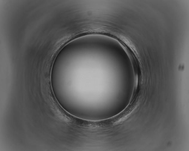 X0000094910481200711291259
