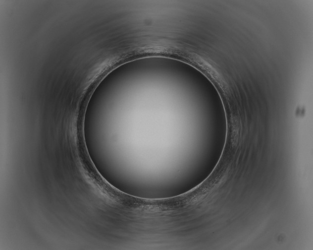 X0000094910482200711291259