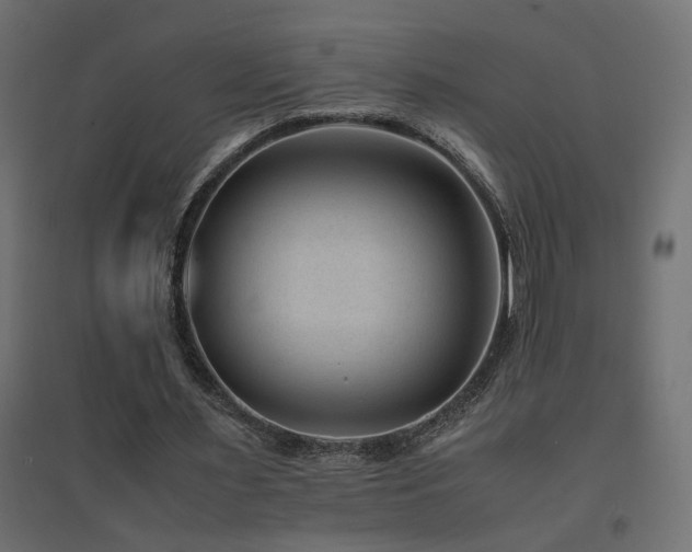 X0000094910483200711291259