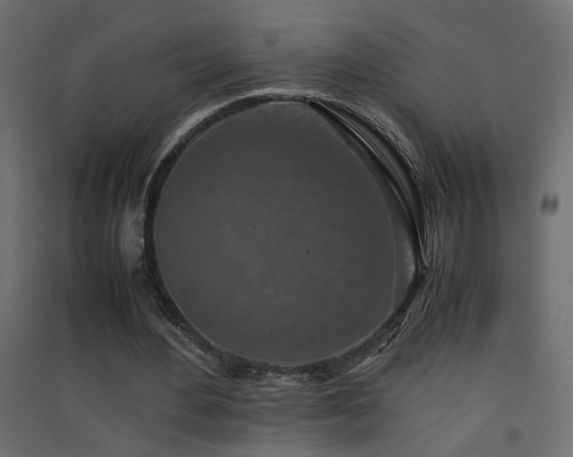 X0000094910484200711291259