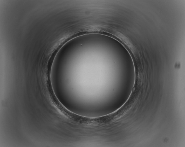 X0000094910485200711291259