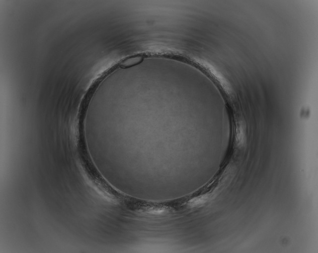 X0000094910488200711291259