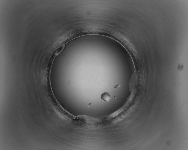 X0000094910489200711291259