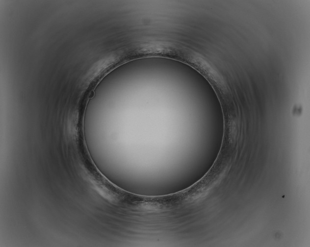 X0000094910490200711291259